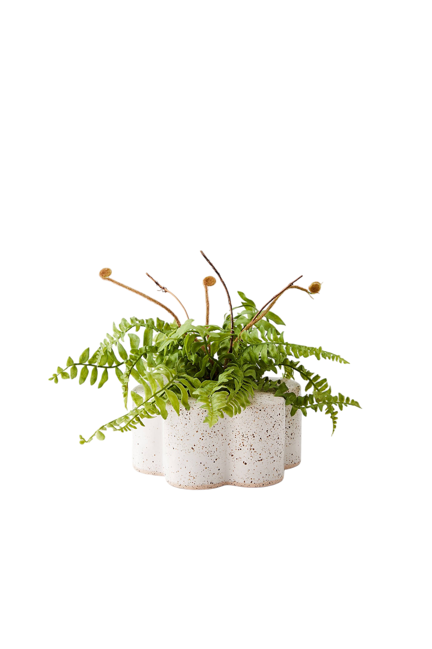 Ceramic flower planter