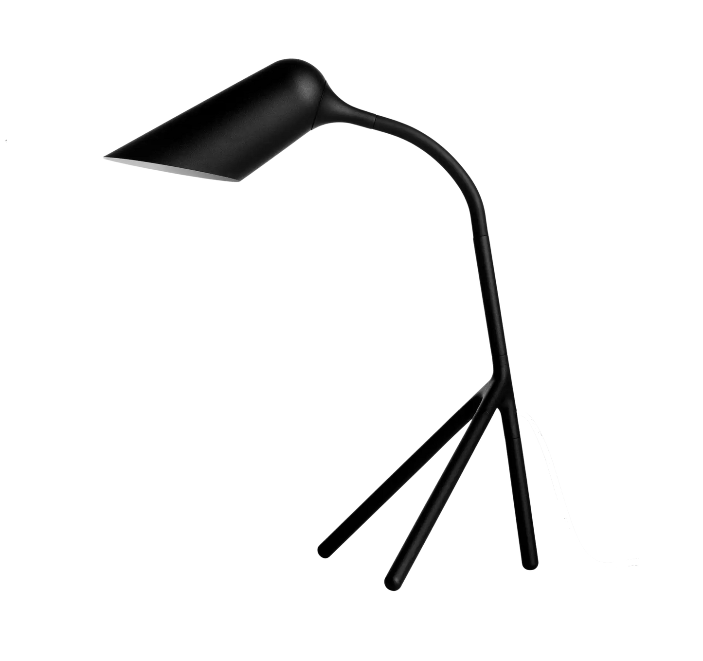 Curious lamp