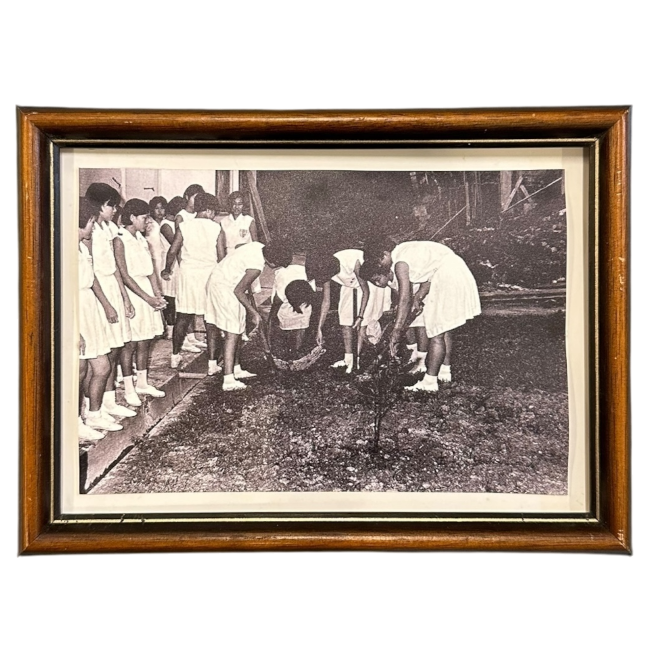 Brown frame