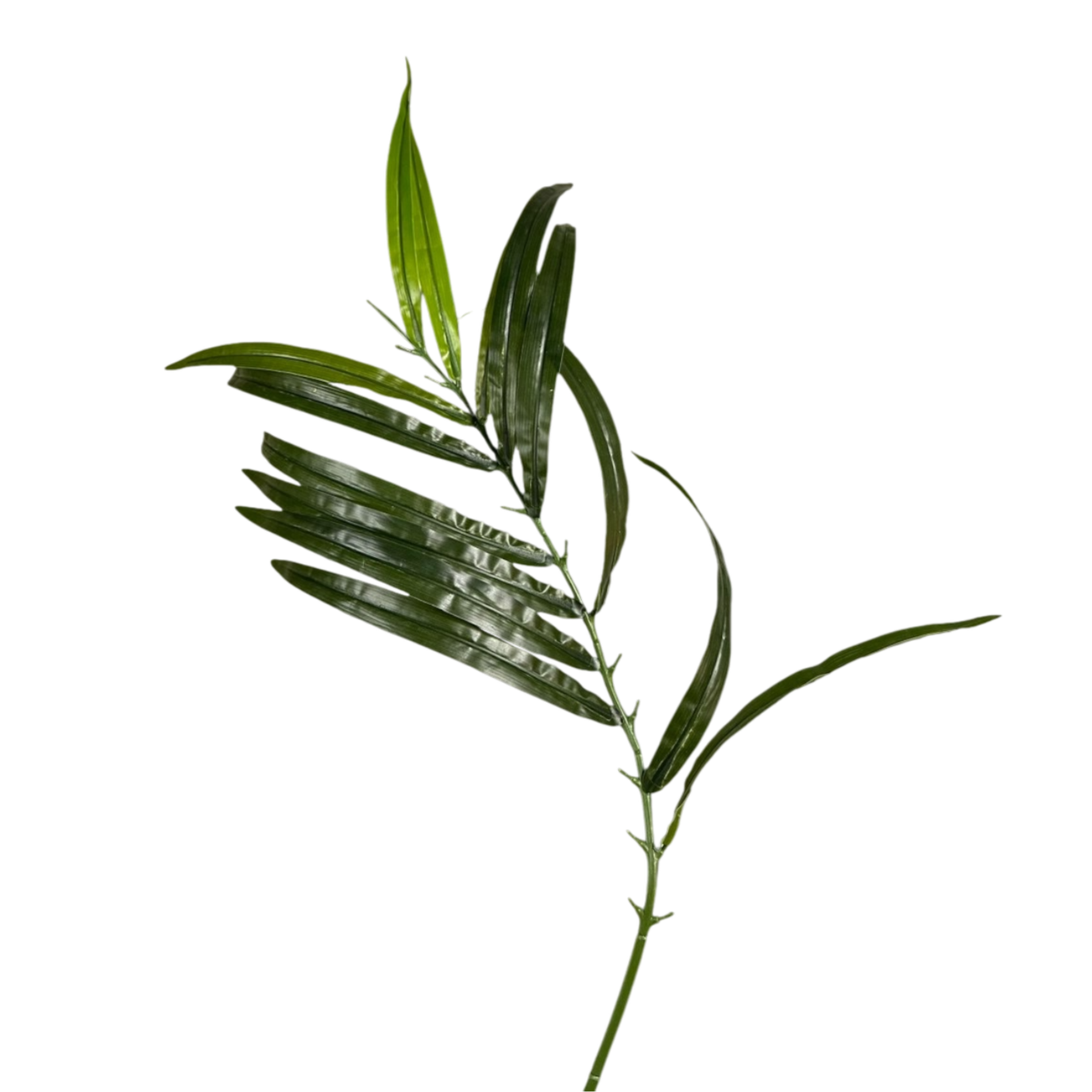 Bamboo leaves