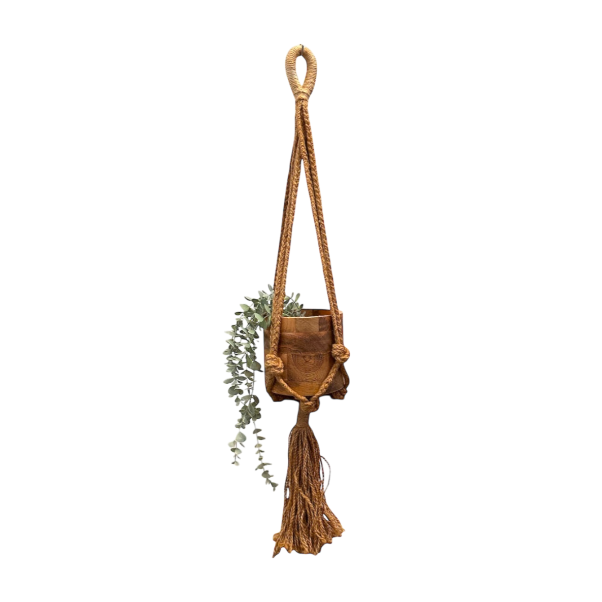 Plant holder with string