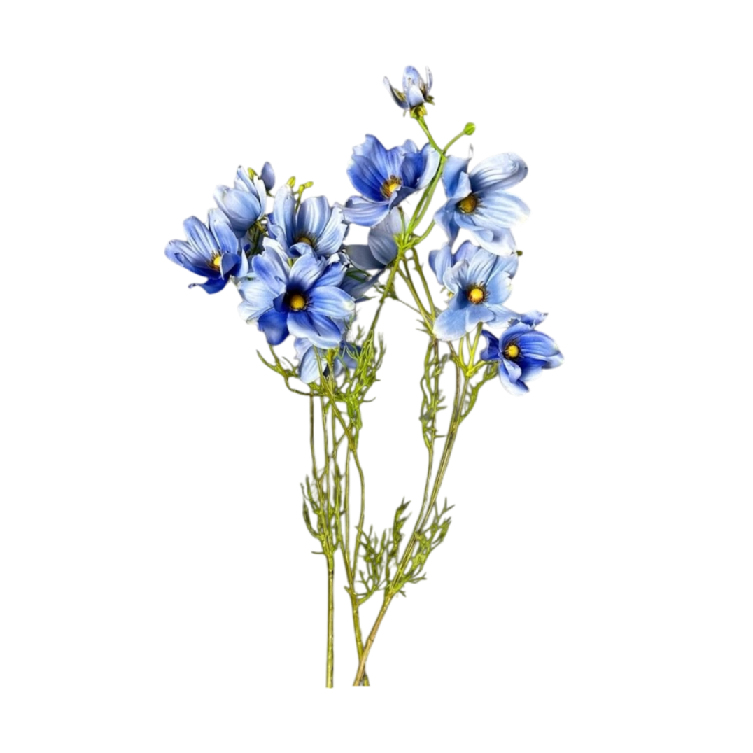 Violet flowers