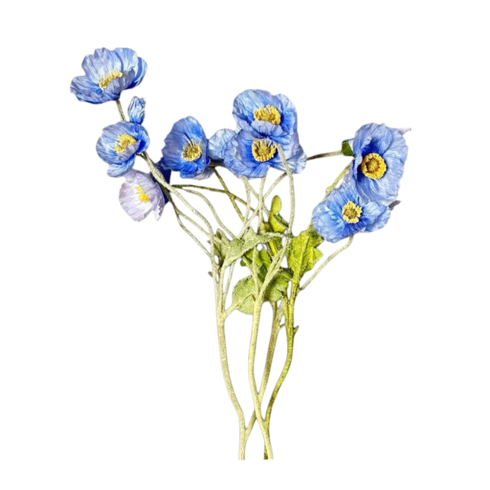 Blue flowers