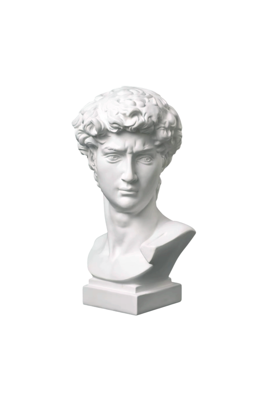 David bust