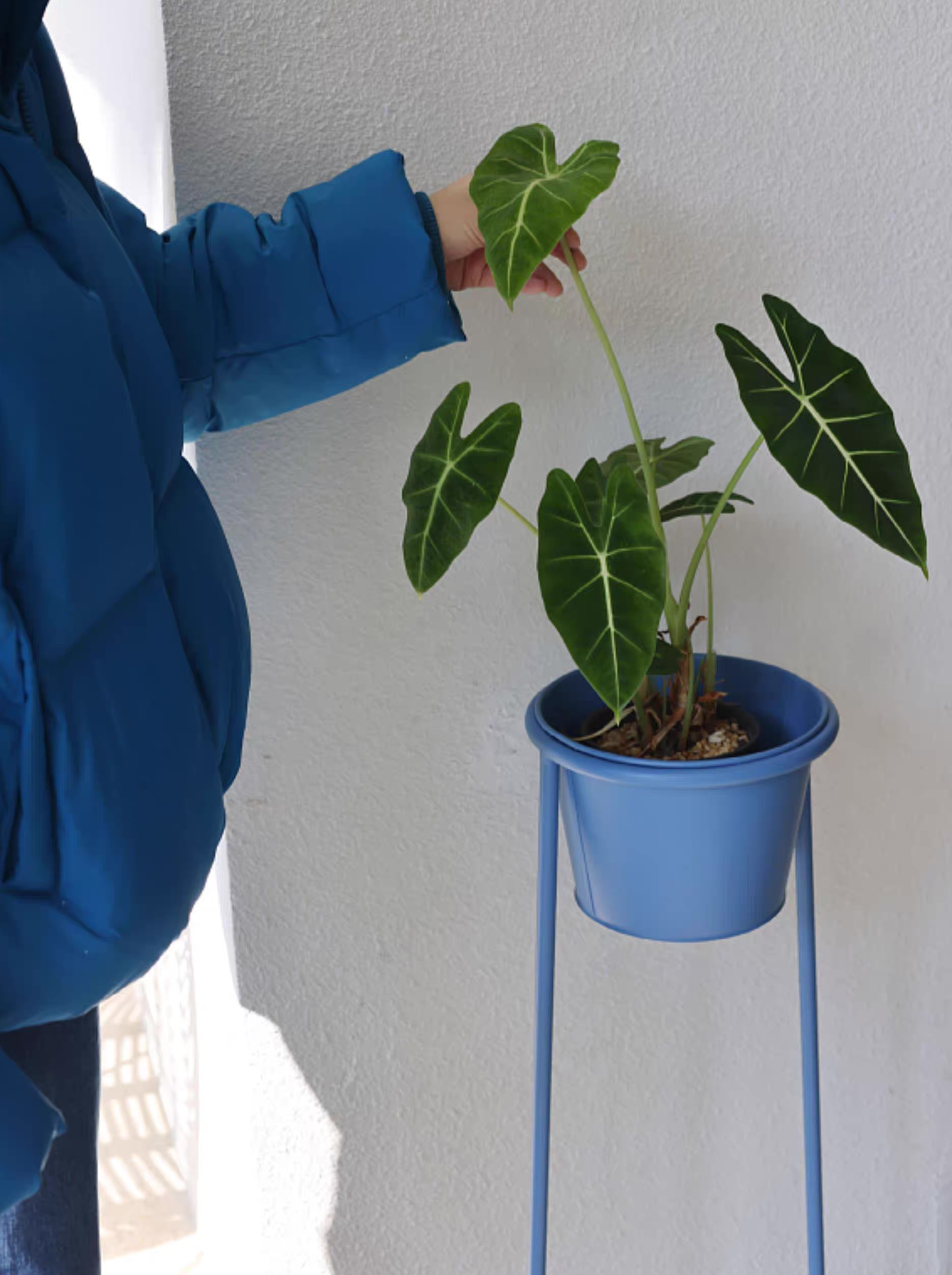 Blue metal pot stand