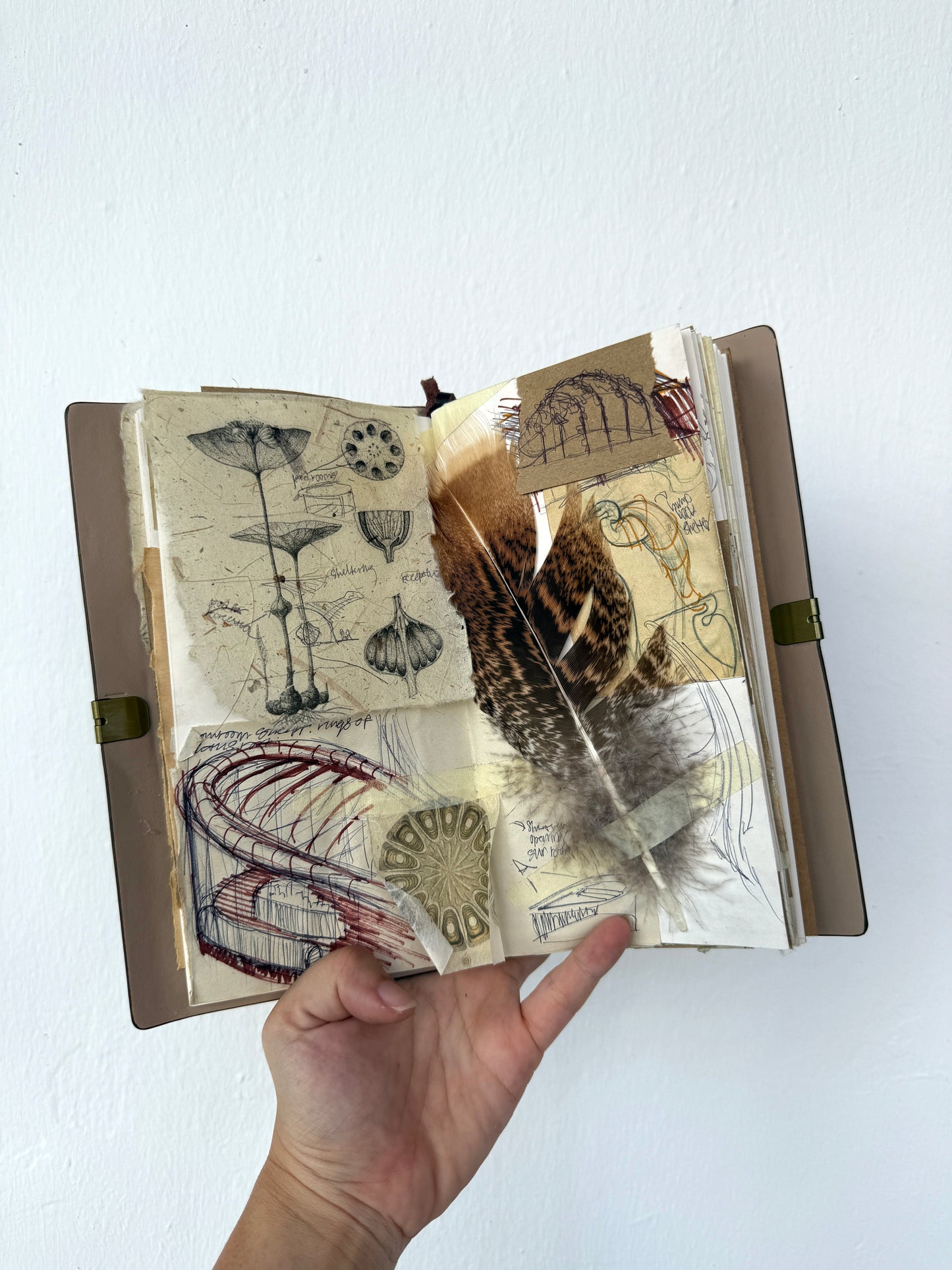 Architecture and nature notebook