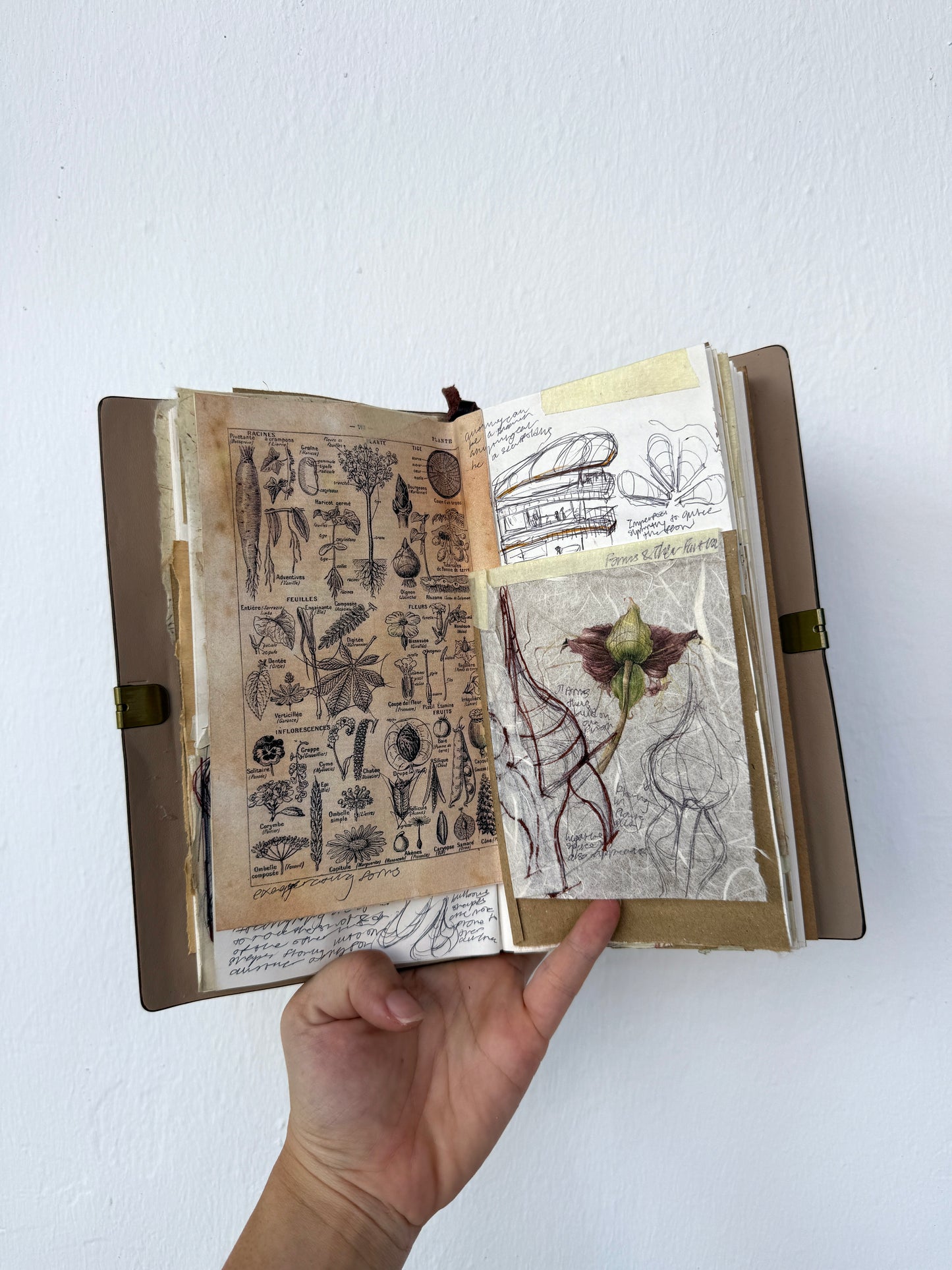 Architecture and nature notebook