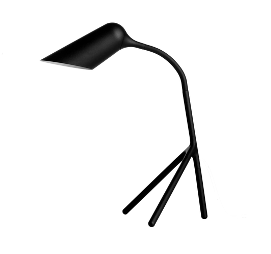 Curious lamp