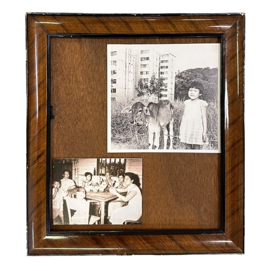 Brown glossy frame