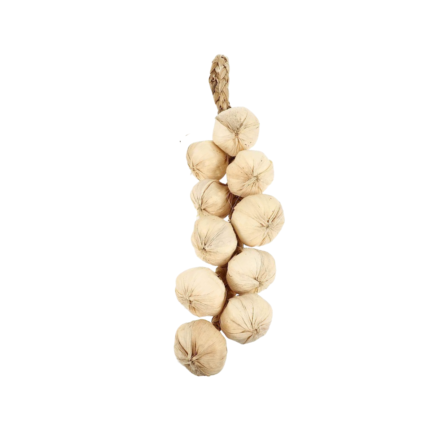 Fake garlic