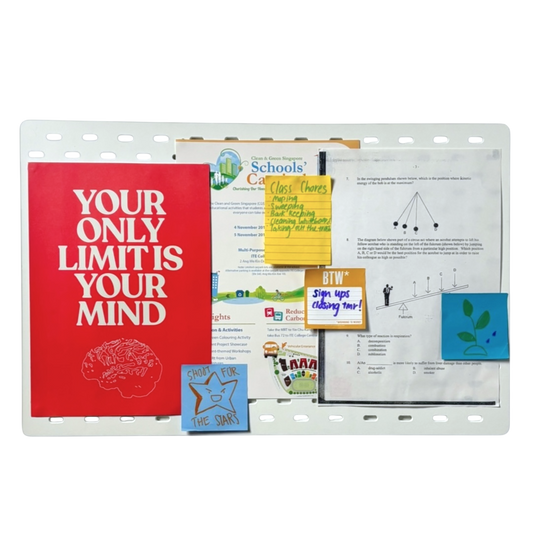 Study note boards