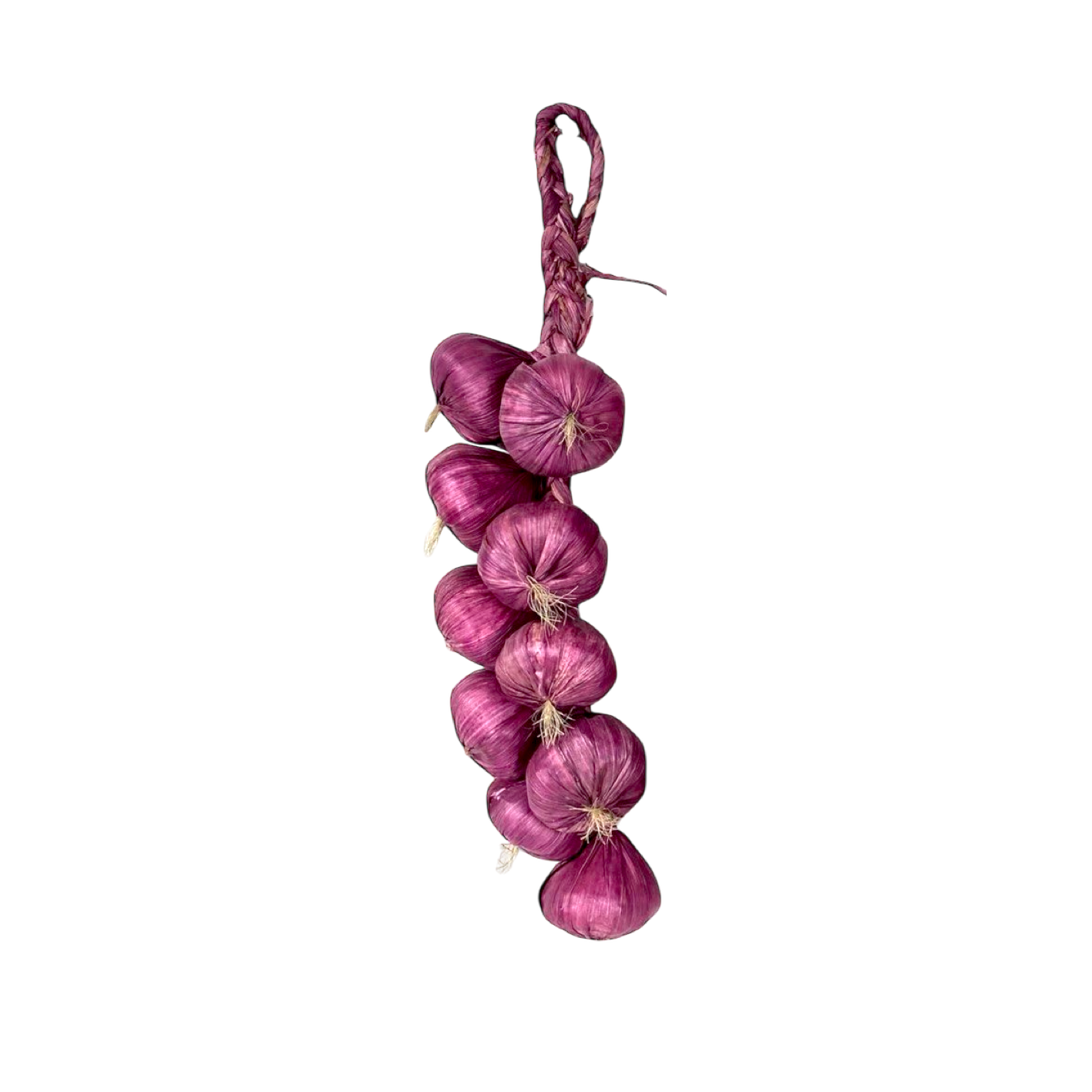 Fake purple onion