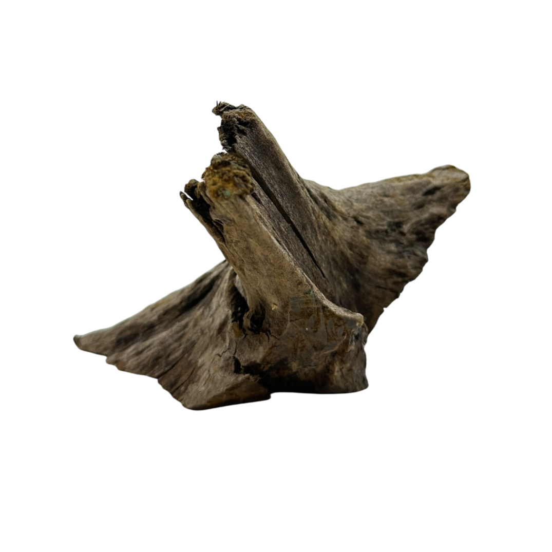 Driftwood