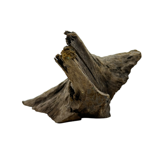 Driftwood