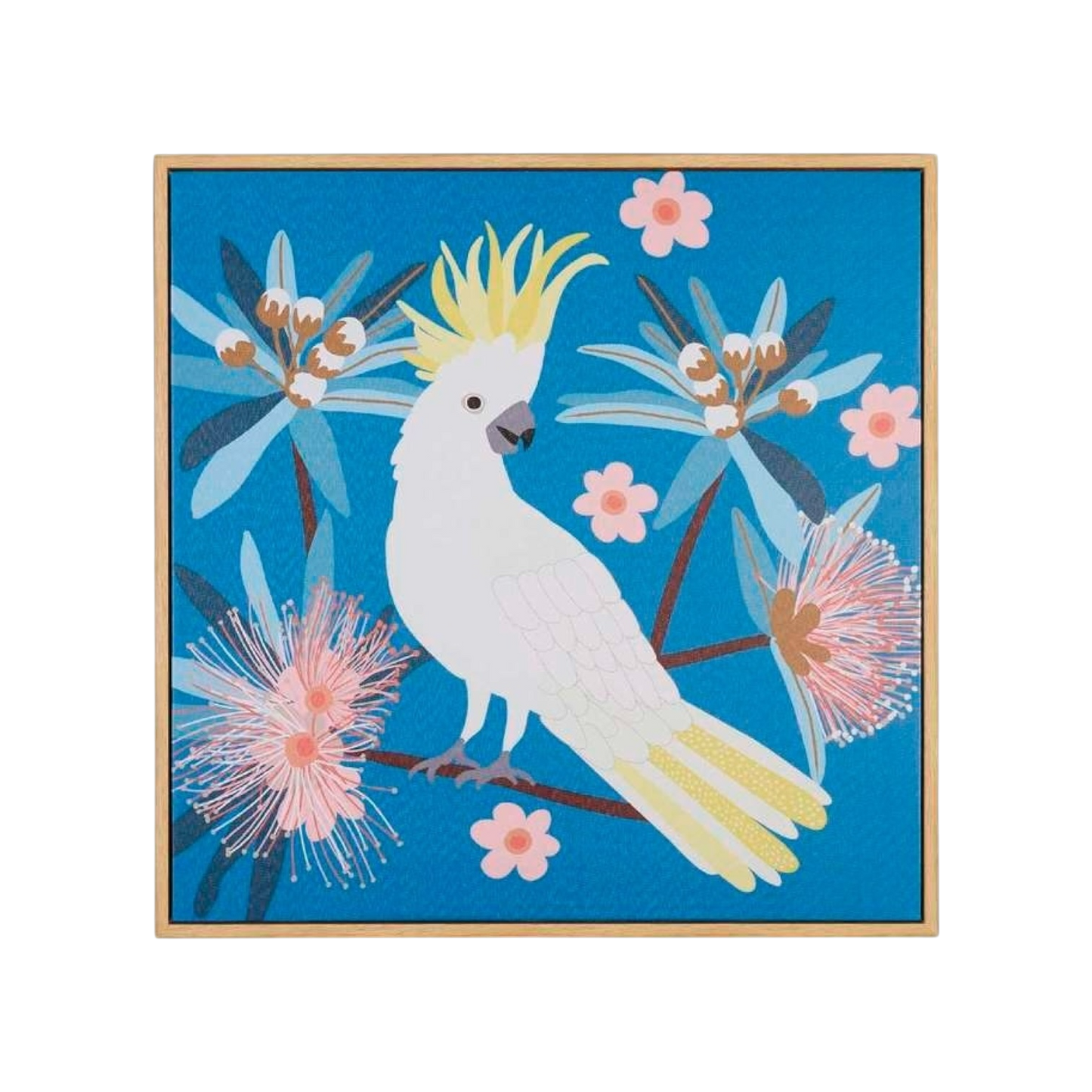 Crested cockatoo