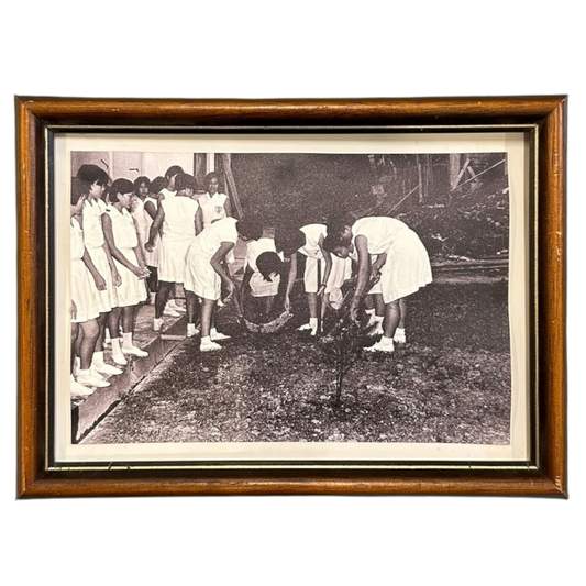 Brown frame