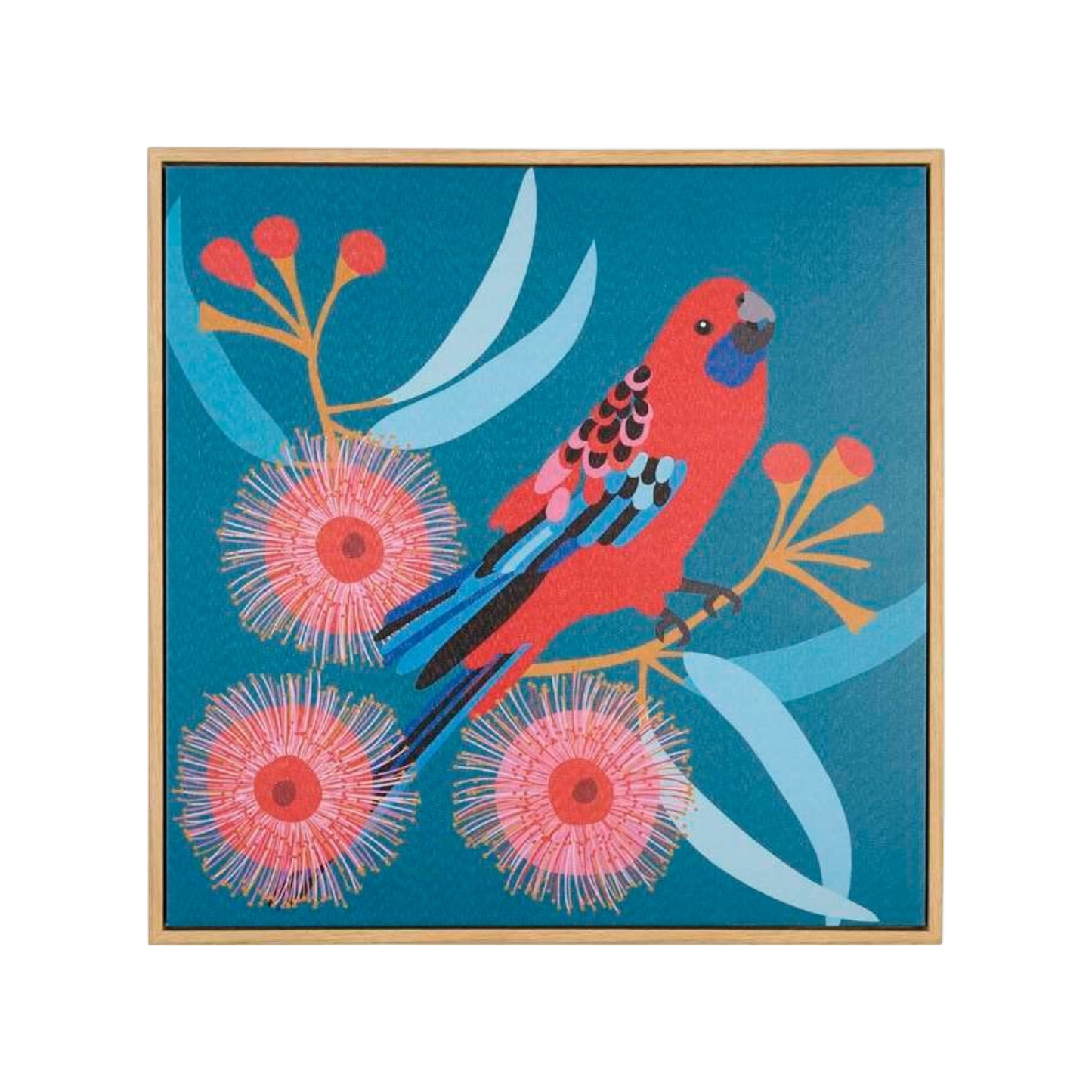 Crimson rosella