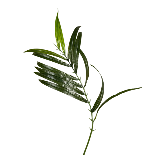 Bamboo leaves