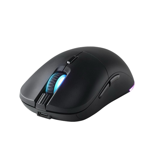 Black RGB mouse