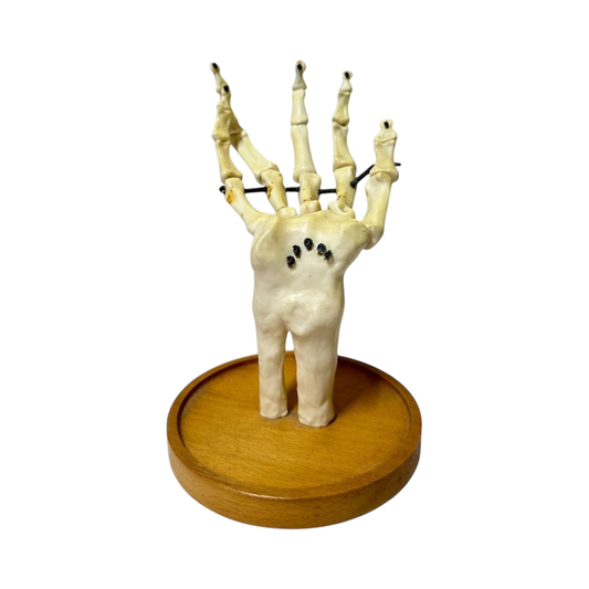 Hand structure