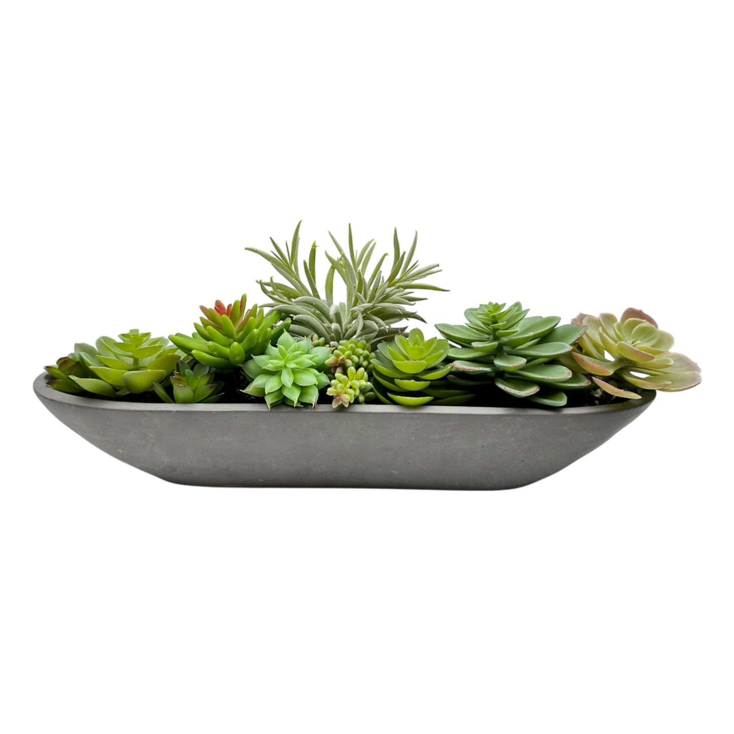 Long ceramic plant