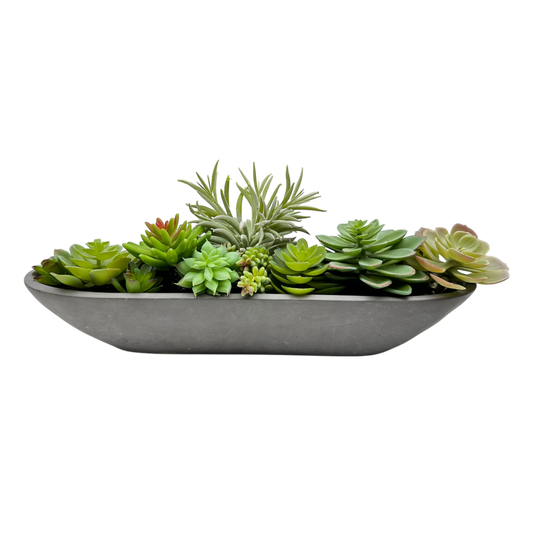 Long ceramic plant