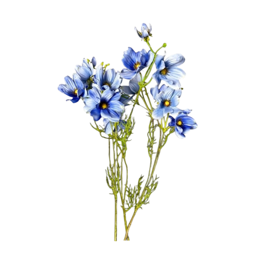 Violet flowers
