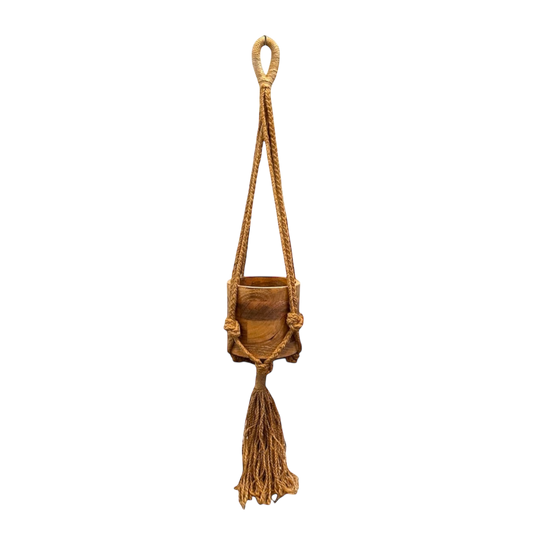 Plant holder with string