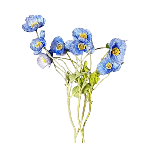 Blue flowers