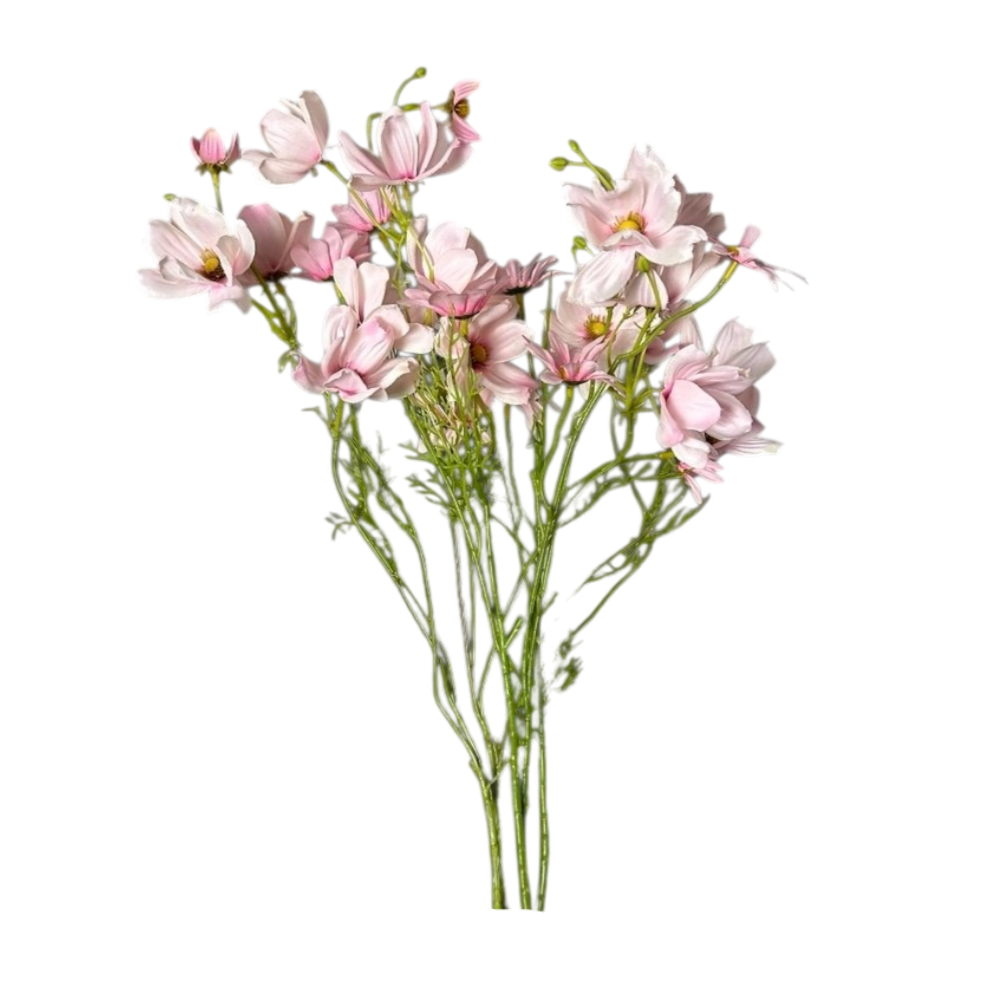 Pink flowers