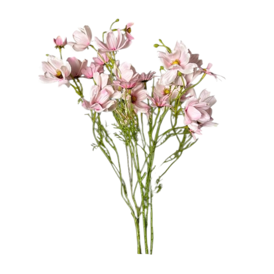 Pink flowers