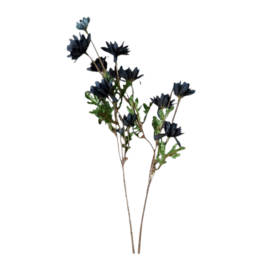 Dark blue flowers
