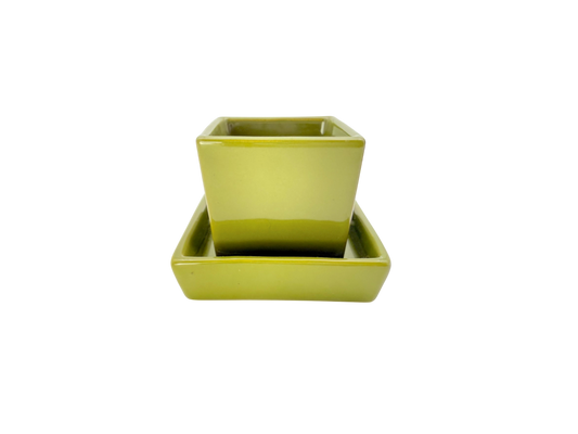 Green set mini plate and bowl