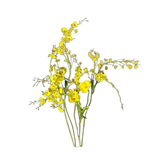 Yellow flowers