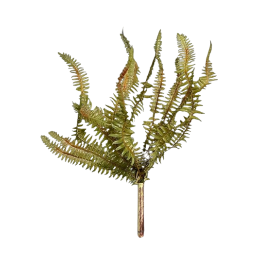 Yellow green fern