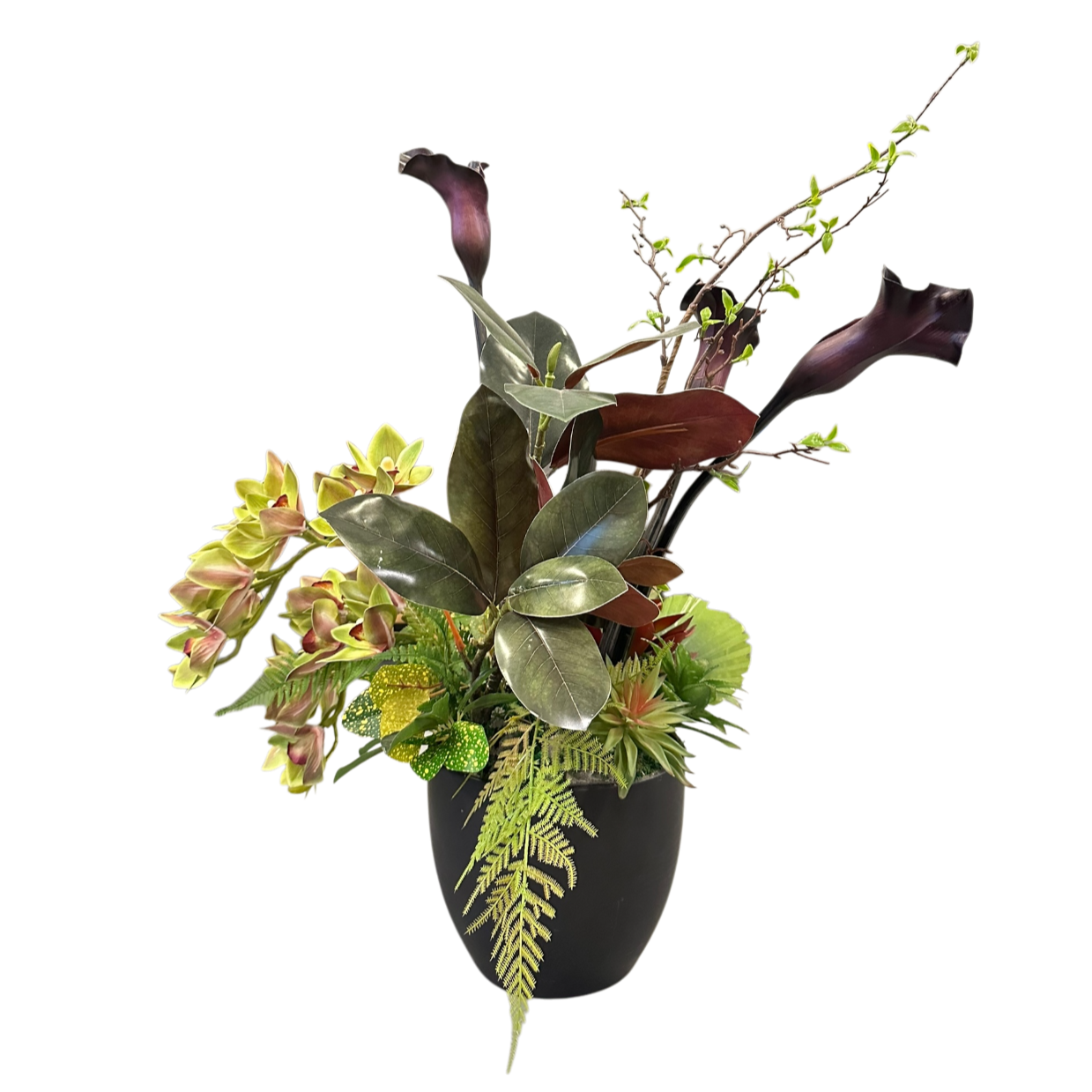 Red leaves plant