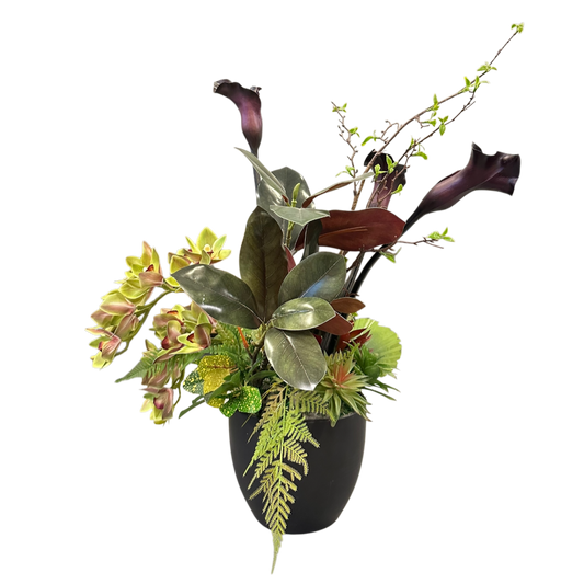 Red leaves plant