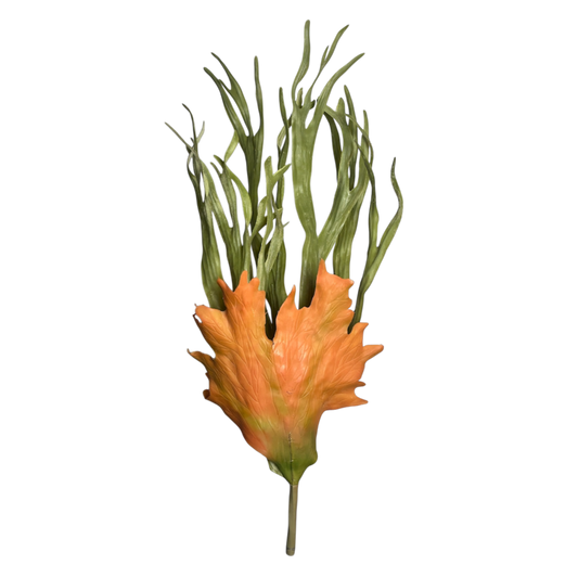 Orange and green fern