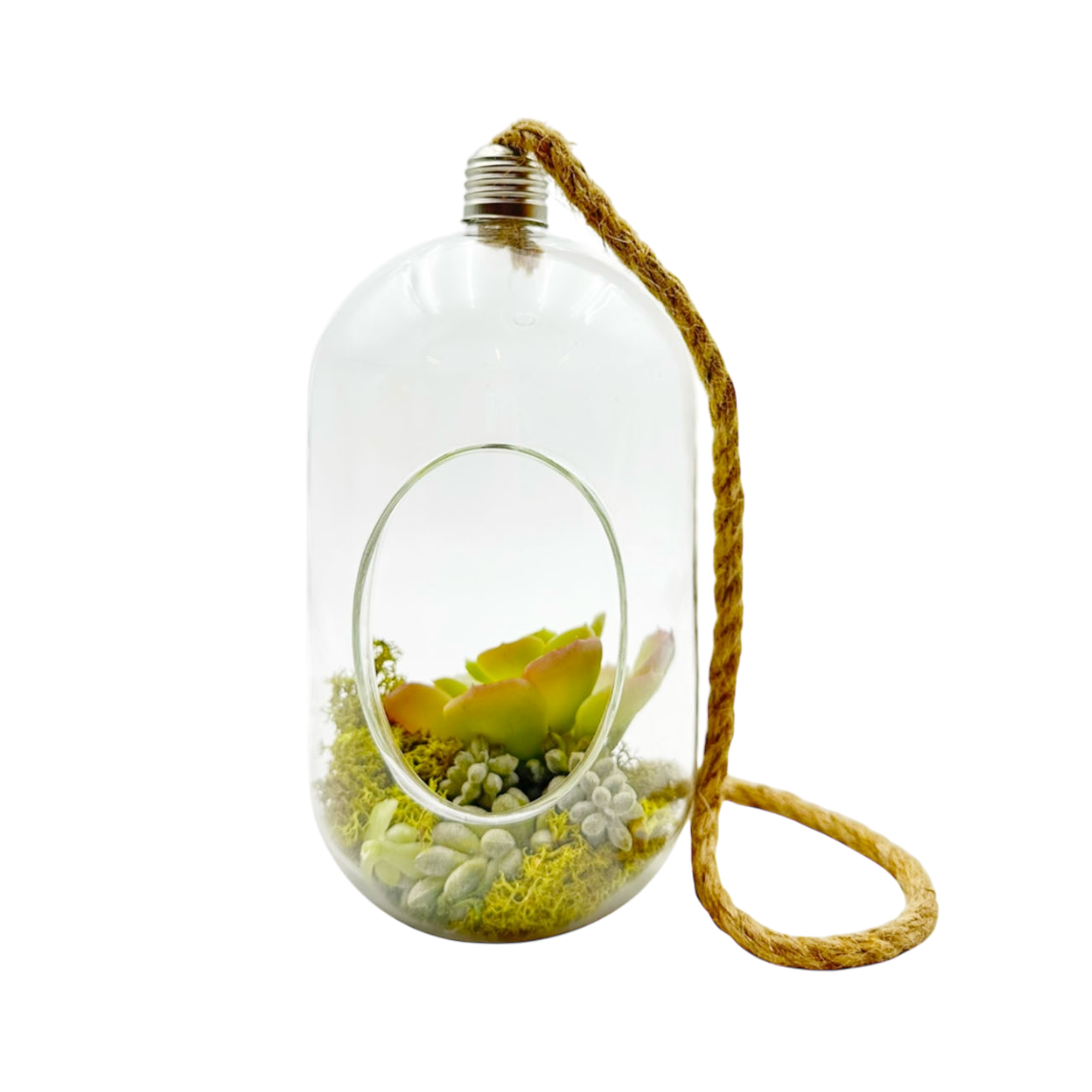Transparent hanging plant
