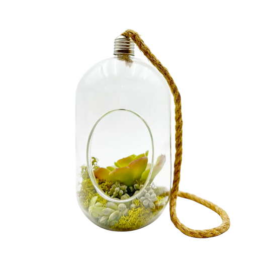 Transparent hanging plant