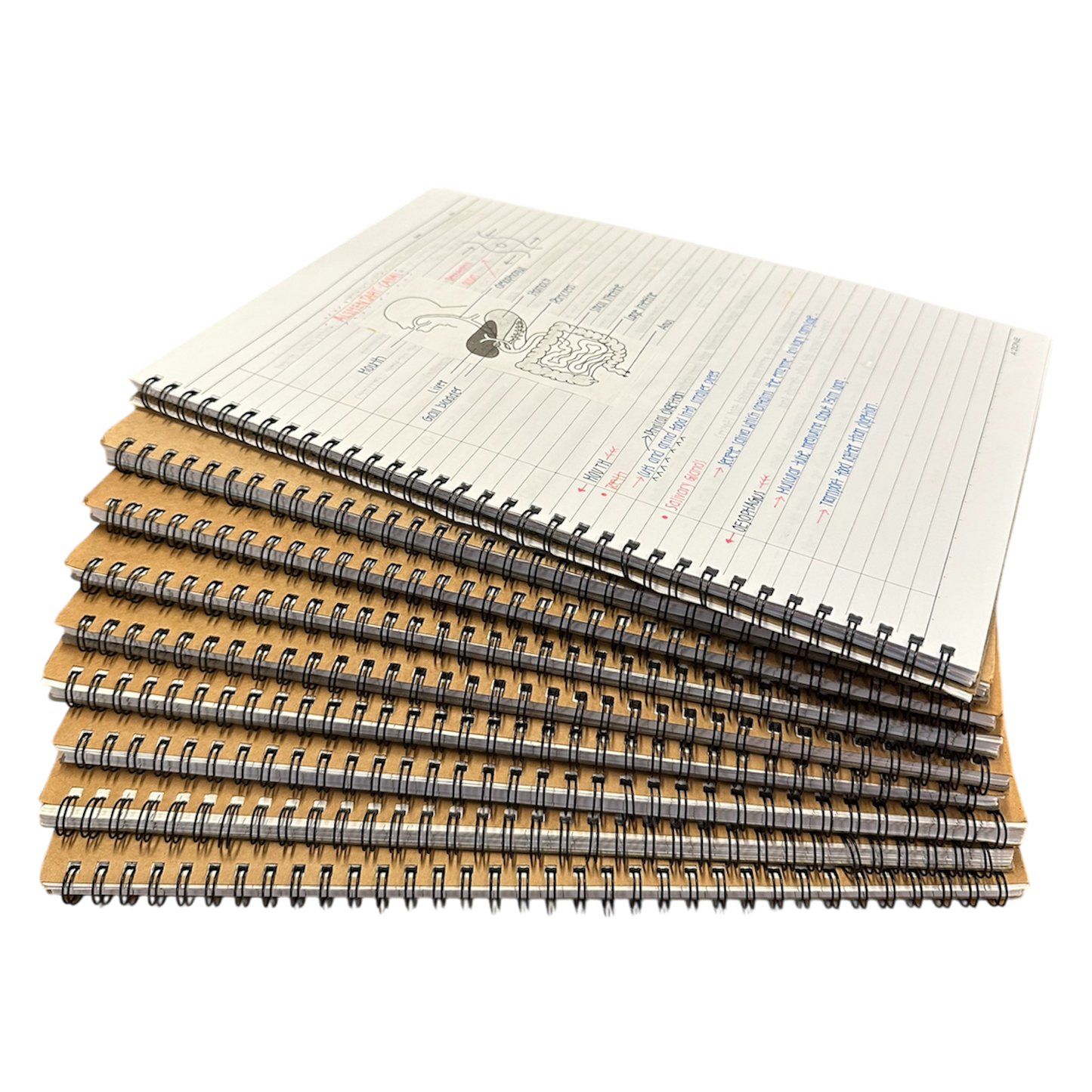 Set of different school subject notes (Geography, physics, mathematics, POA, Chemistry, Biology)
