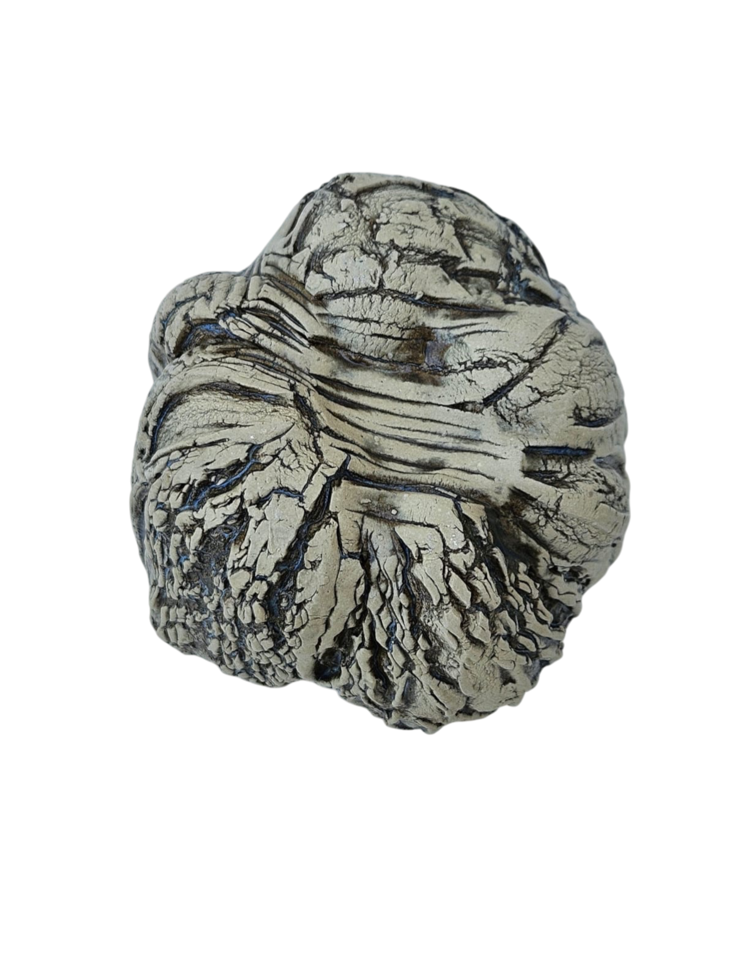 Synceramic Bulbous Series I