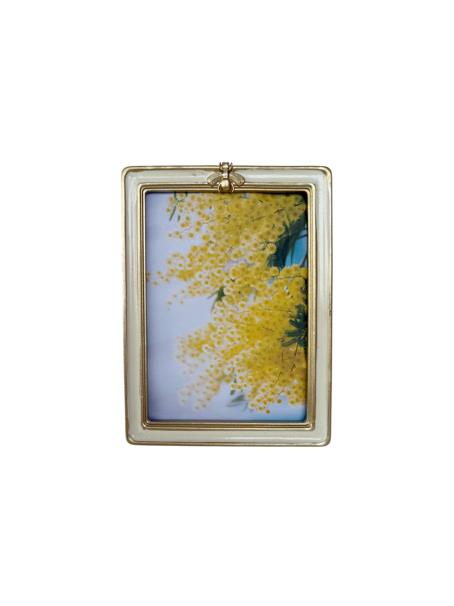 Bumble bee frame