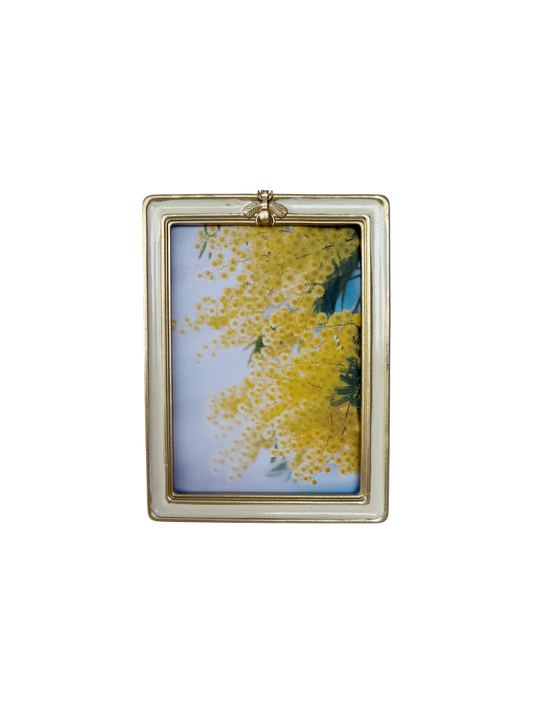 Bumble bee frame