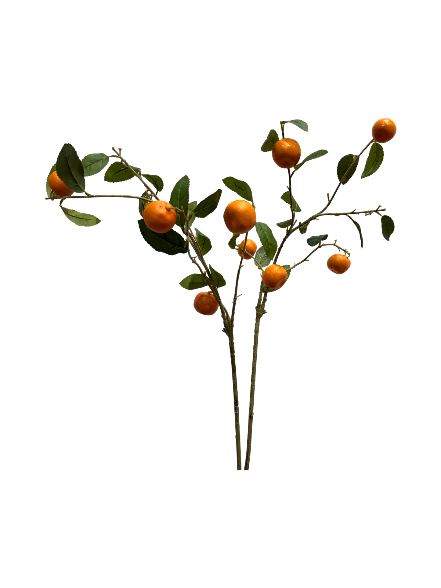 Fake orange stalks