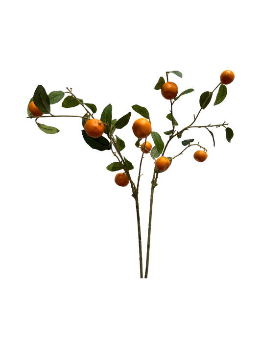 Fake orange stalks