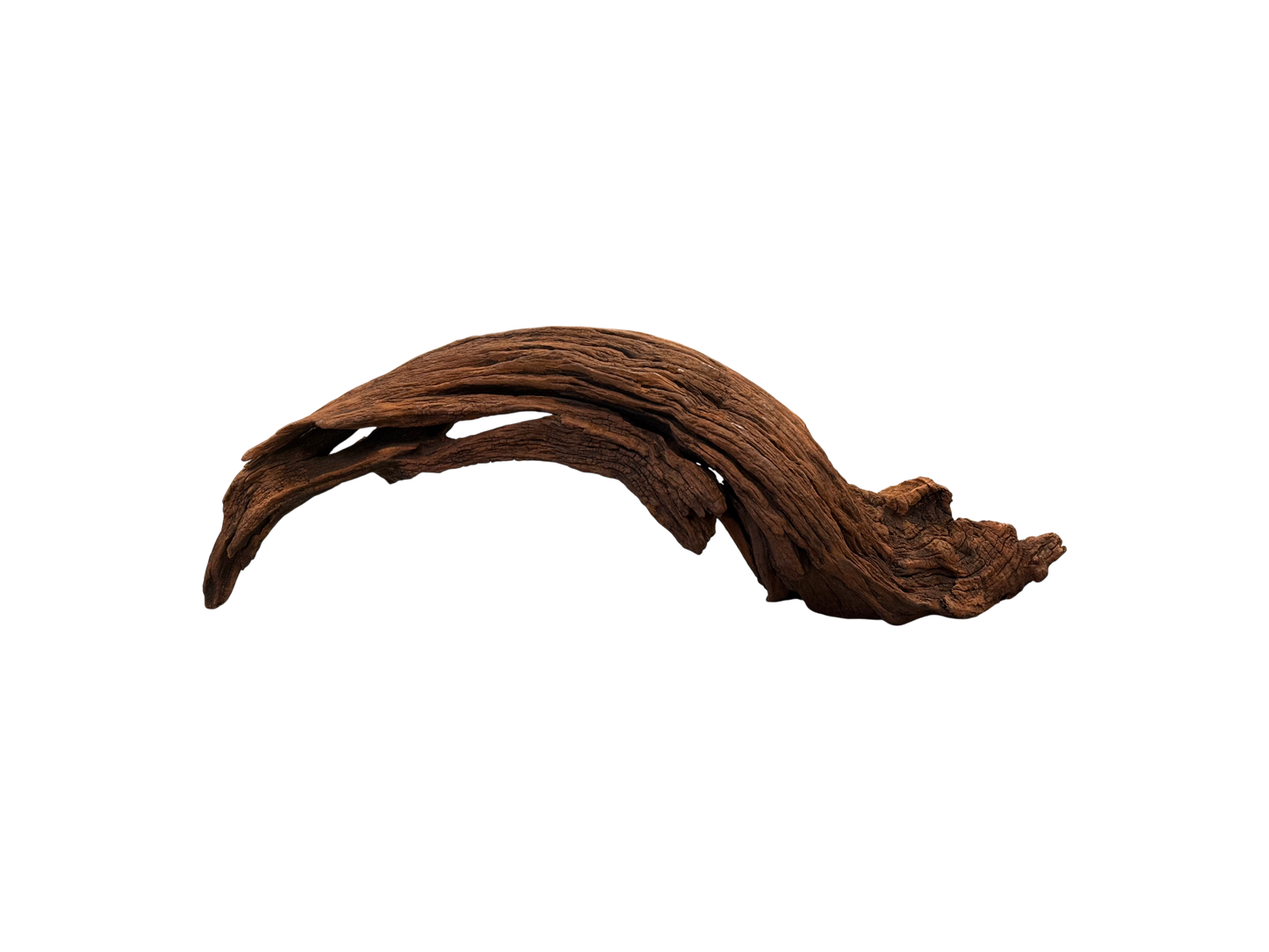 Large driftwood