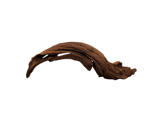 Large driftwood