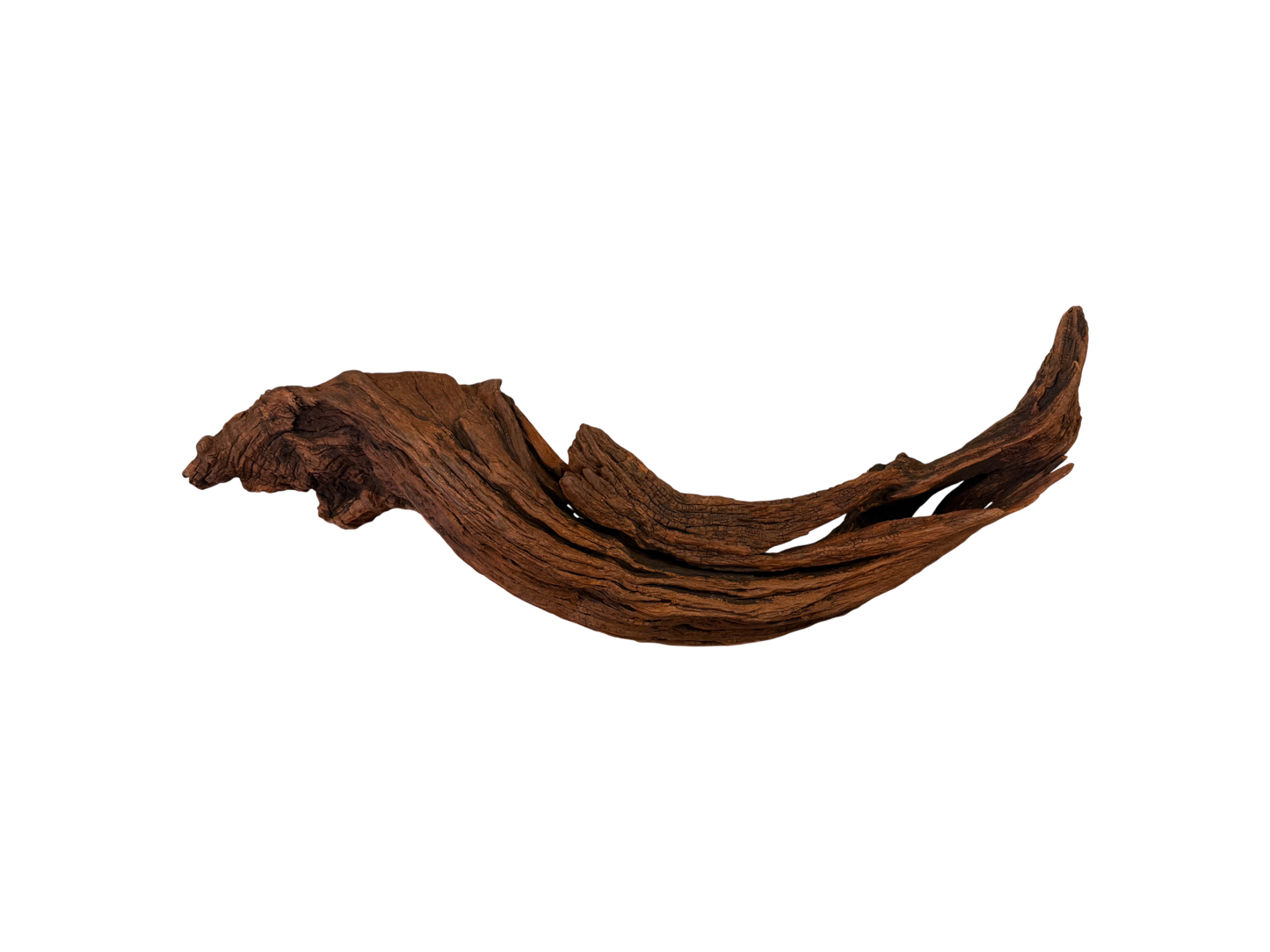 Large driftwood